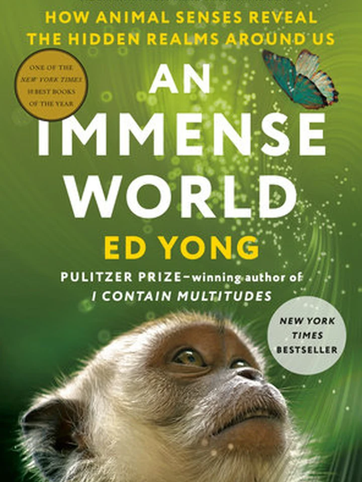 An Immense World