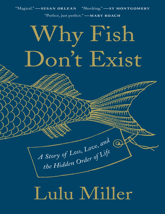 Why Fish Don't Exist cover